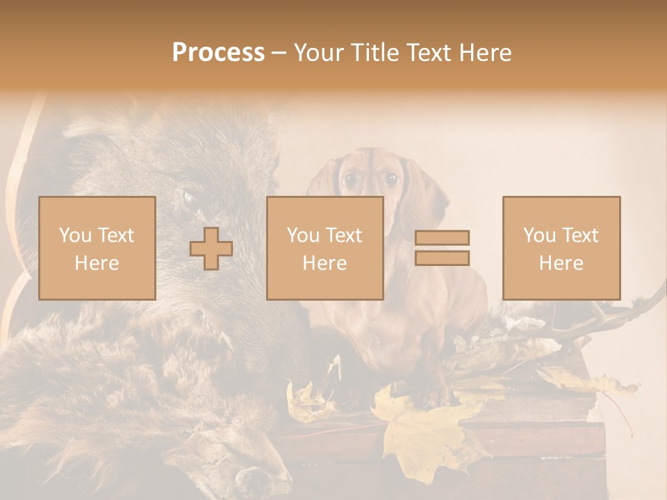 Hair Prey Hunt PowerPoint Template