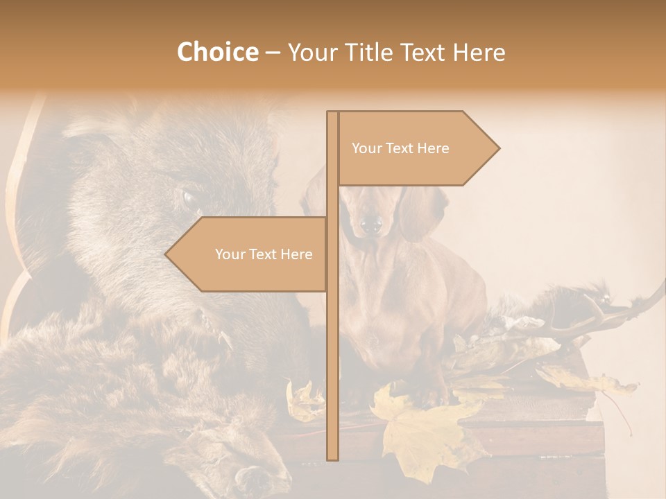 Hair Prey Hunt PowerPoint Template