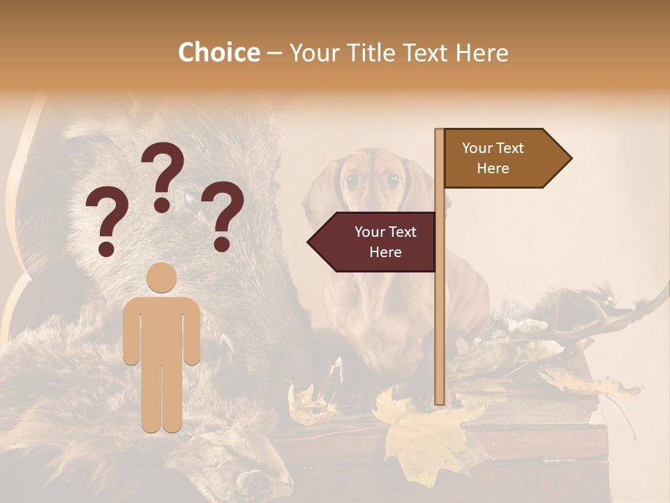 Hair Prey Hunt PowerPoint Template