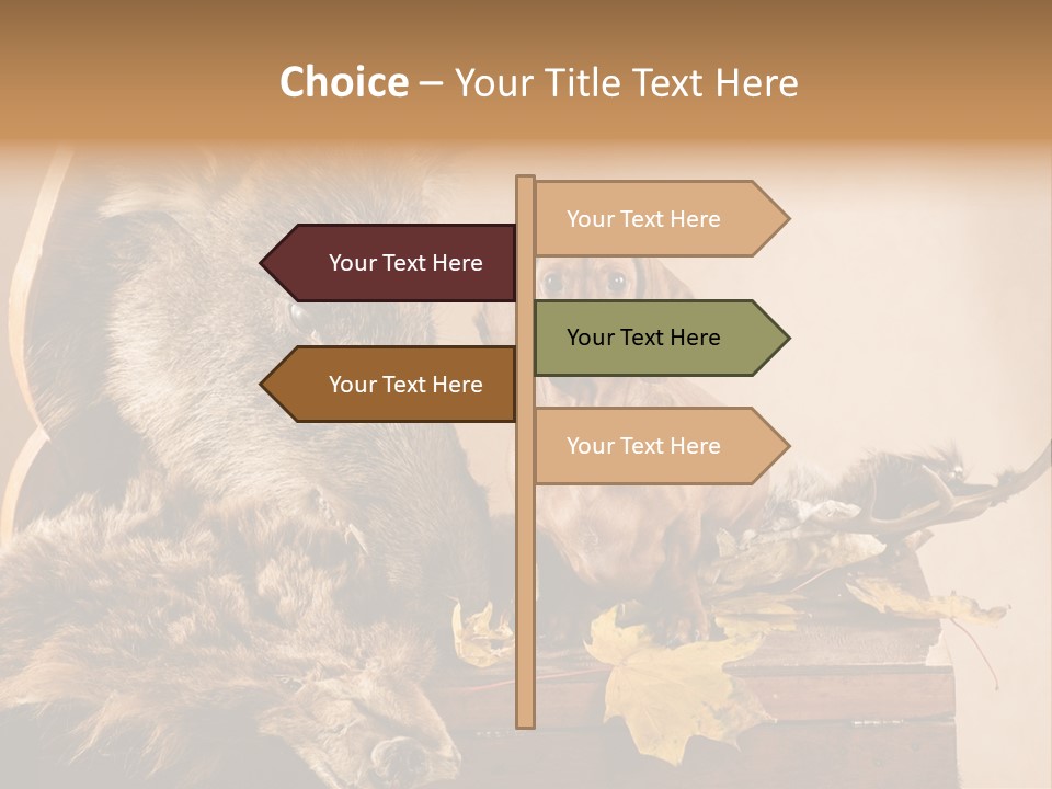 Hair Prey Hunt PowerPoint Template