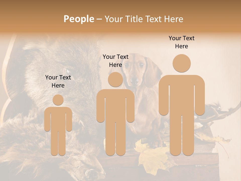 Hair Prey Hunt PowerPoint Template