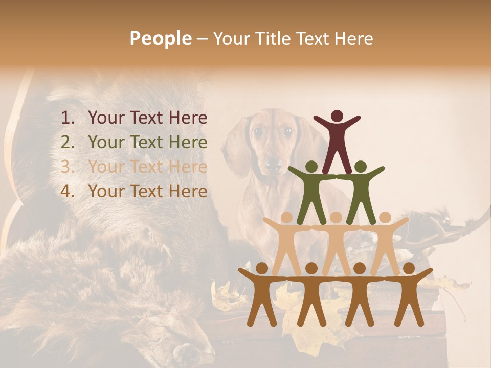 Hair Prey Hunt PowerPoint Template