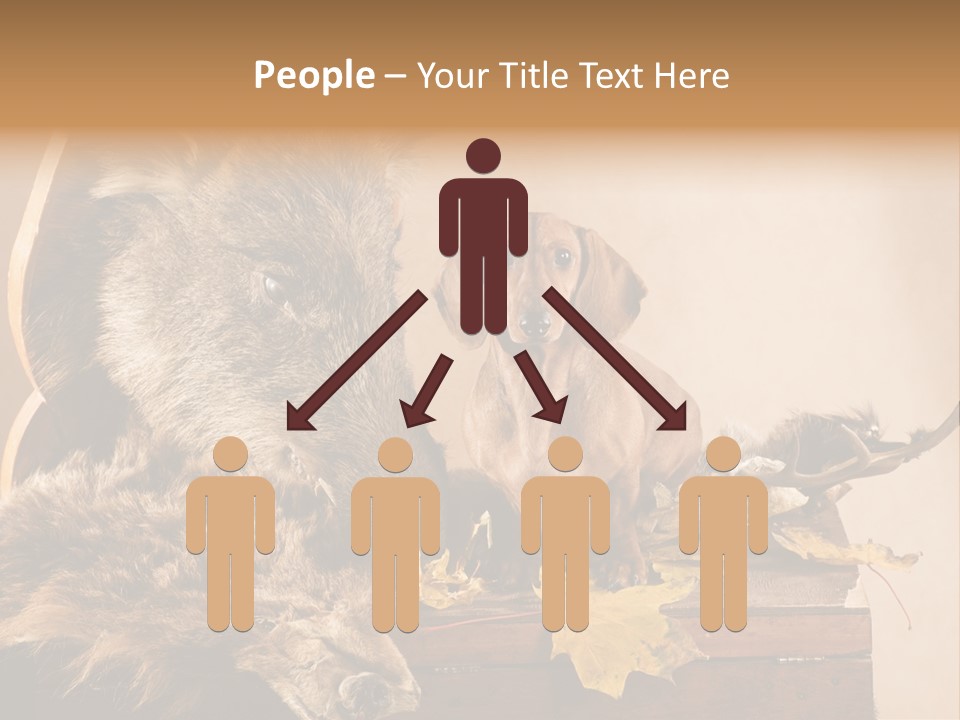 Hair Prey Hunt PowerPoint Template