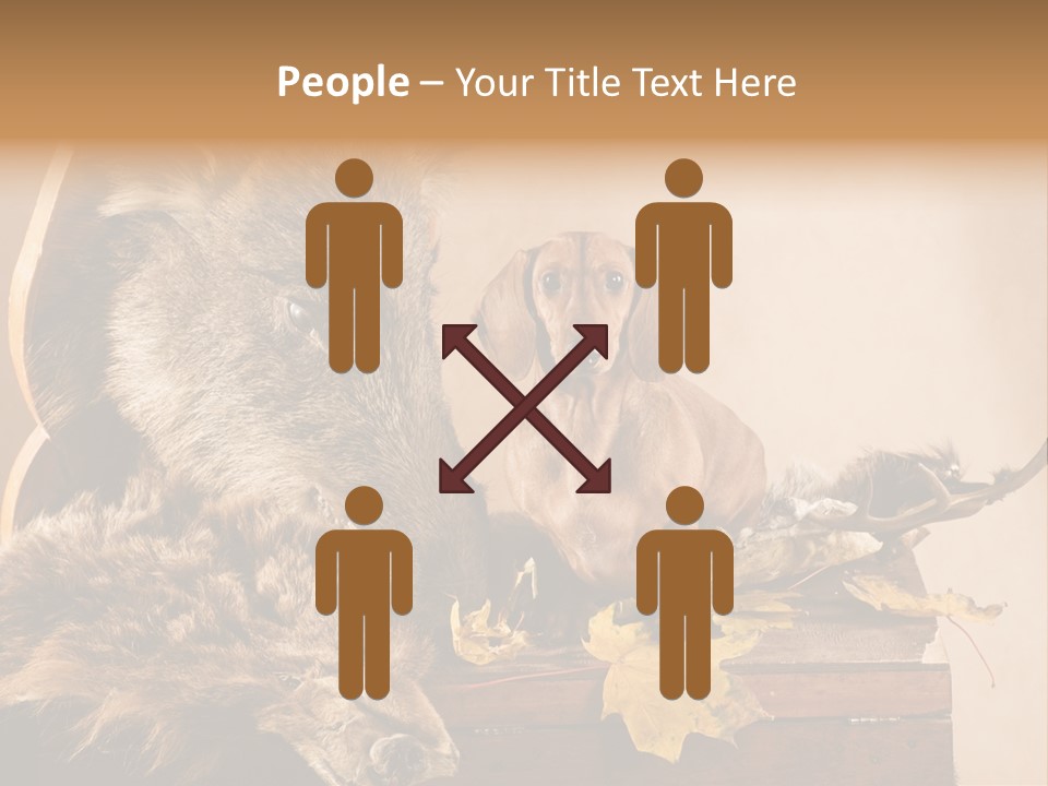 Hair Prey Hunt PowerPoint Template