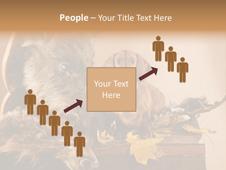Hair Prey Hunt PowerPoint Template