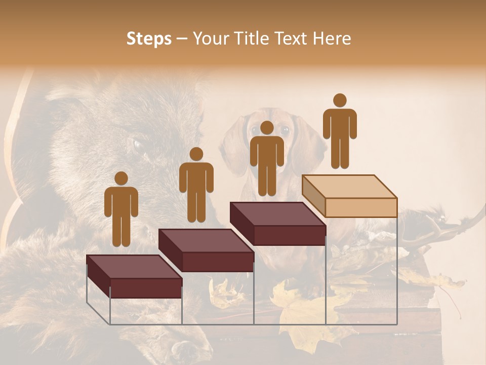 Hair Prey Hunt PowerPoint Template