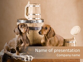 Barrel Purebreed Bavaria PowerPoint Template