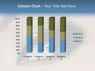 Eye Shadows PowerPoint Template