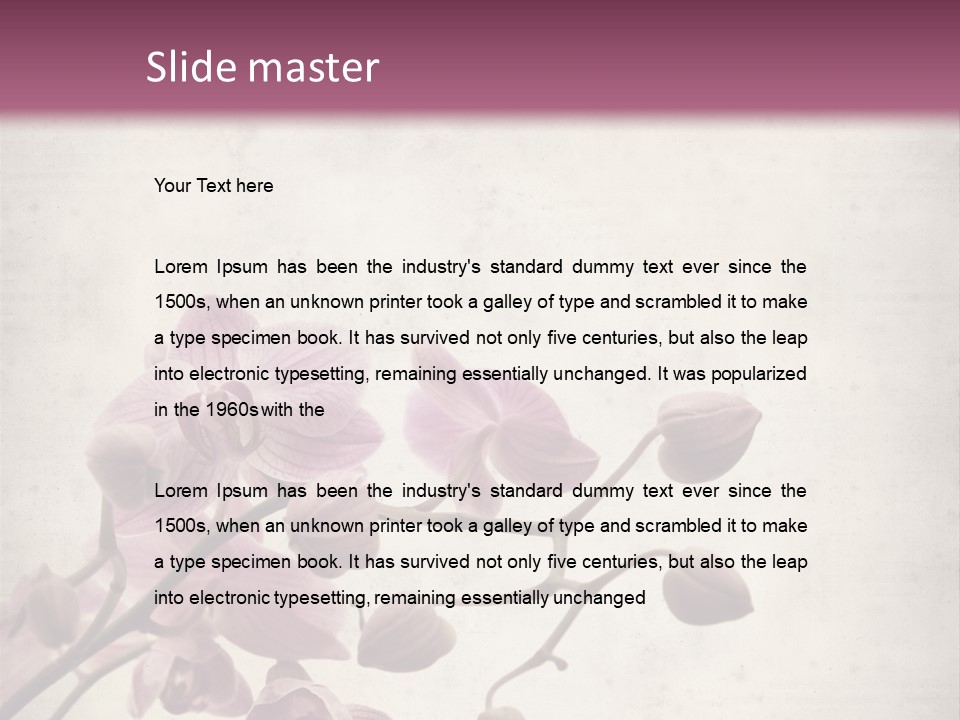 Phalaenopsis PowerPoint Template