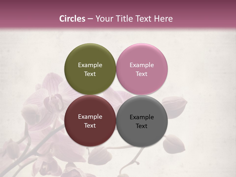 Phalaenopsis PowerPoint Template