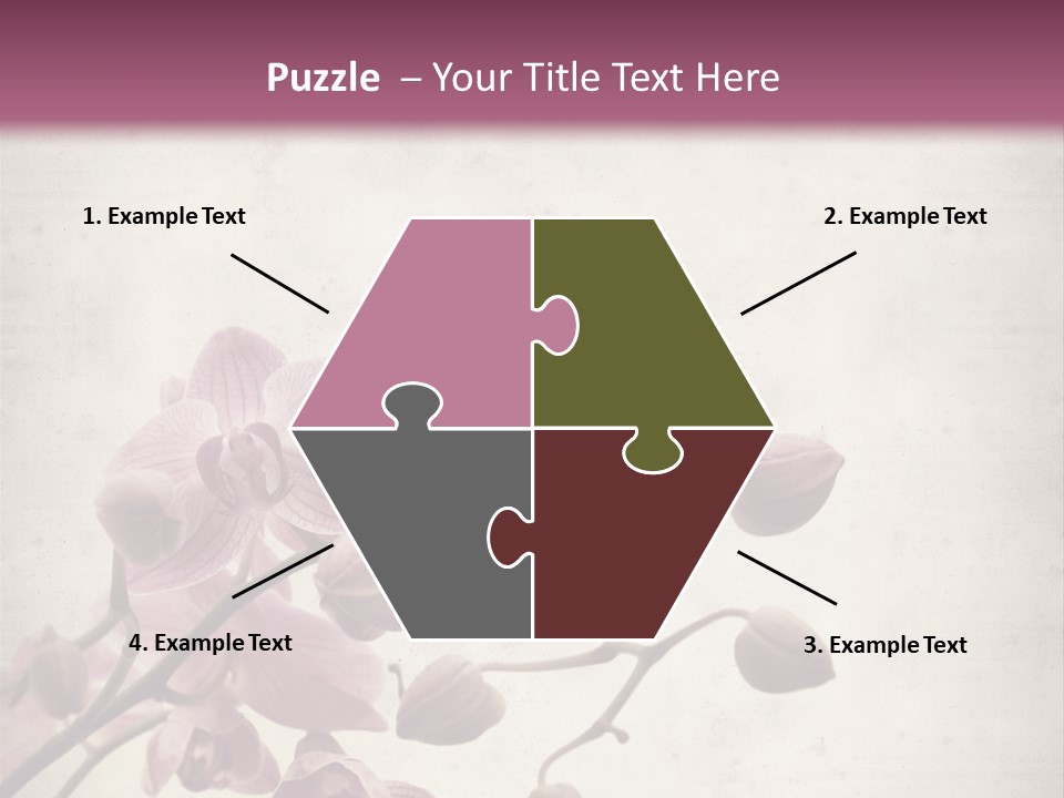 Phalaenopsis PowerPoint Template