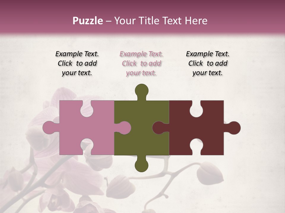 Phalaenopsis PowerPoint Template