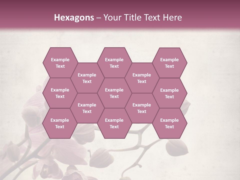 Phalaenopsis PowerPoint Template