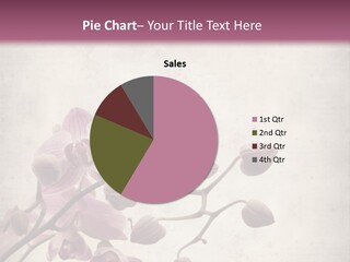 Phalaenopsis PowerPoint Template