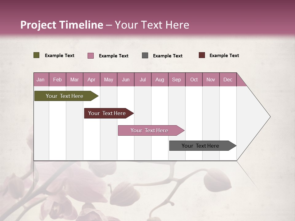 Phalaenopsis PowerPoint Template