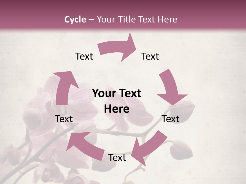 Phalaenopsis PowerPoint Template