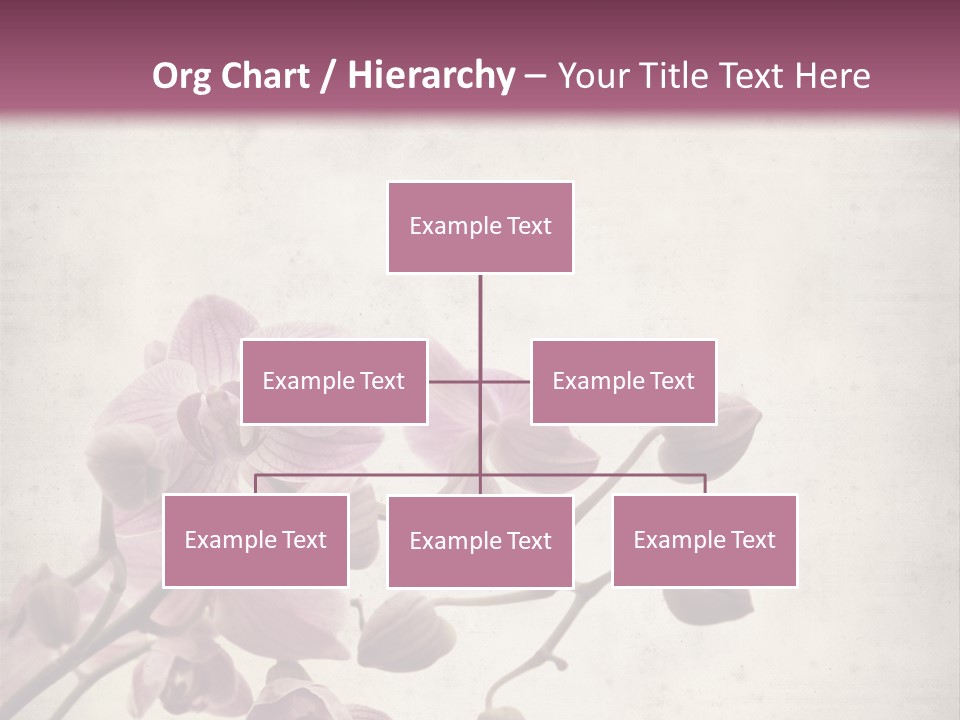 Phalaenopsis PowerPoint Template