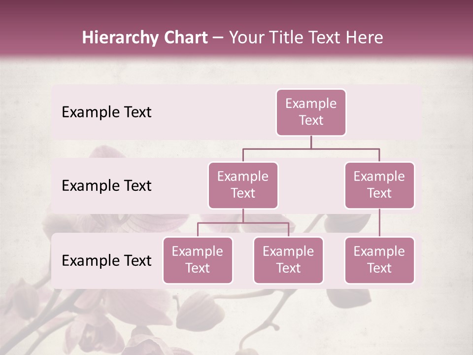 Phalaenopsis PowerPoint Template