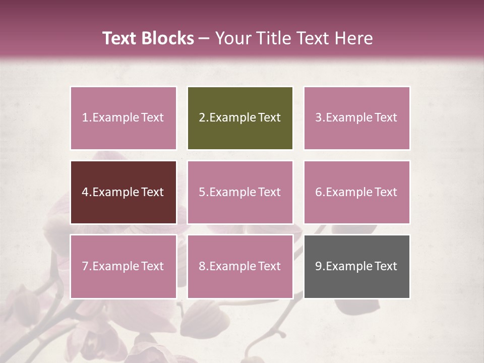 Phalaenopsis PowerPoint Template