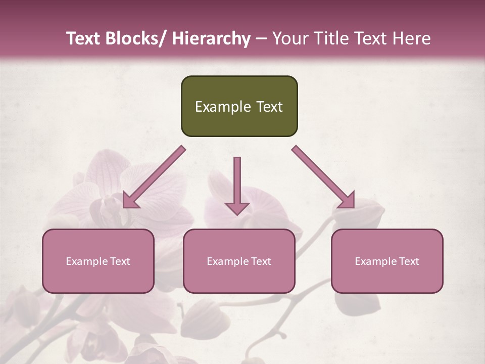 Phalaenopsis PowerPoint Template