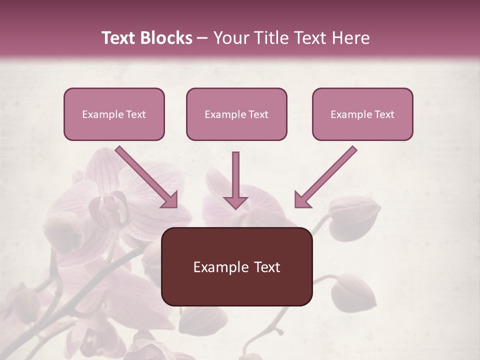 Phalaenopsis PowerPoint Template