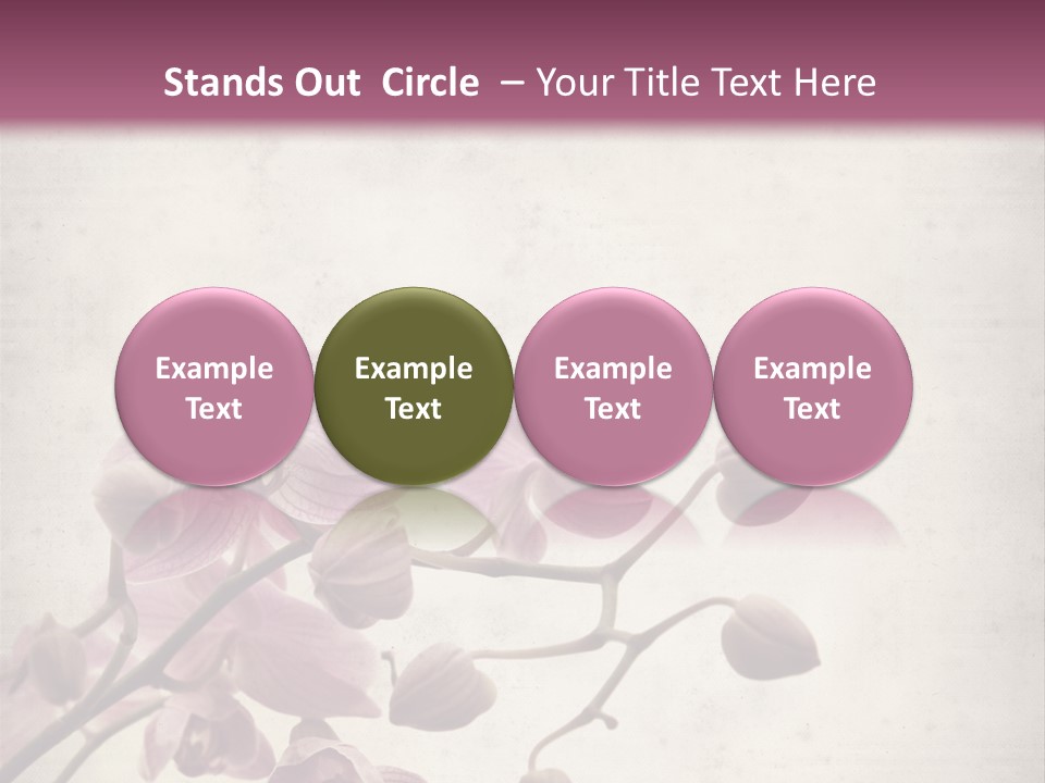 Phalaenopsis PowerPoint Template