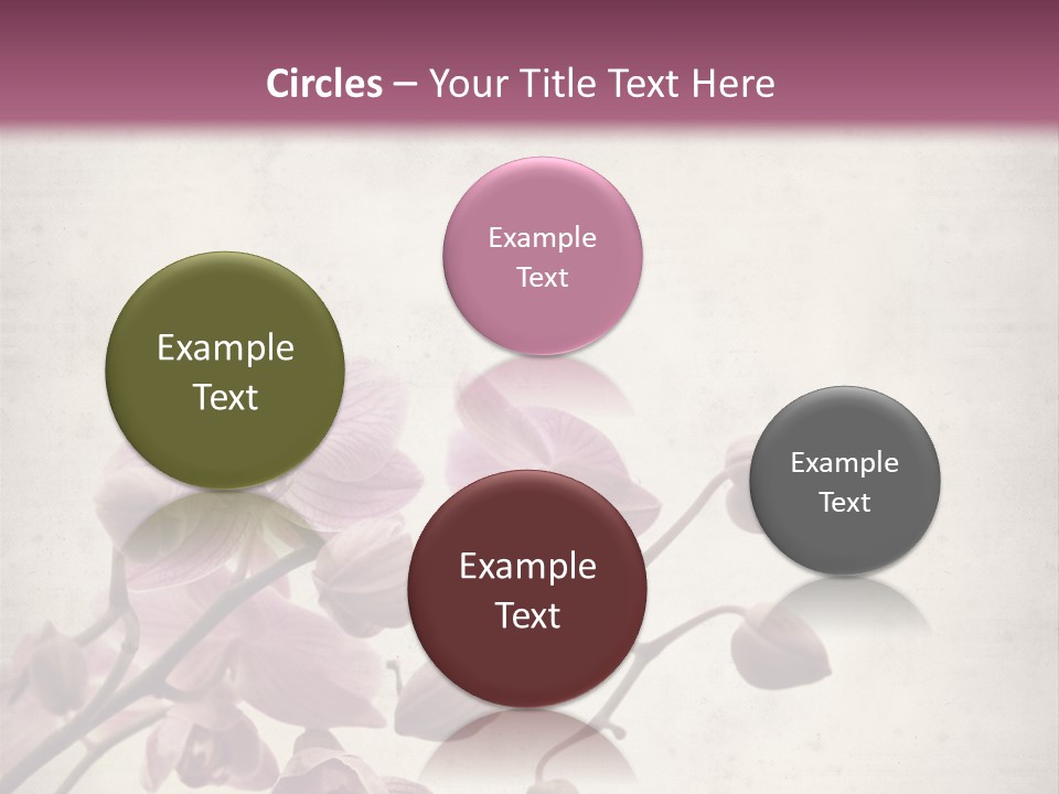 Phalaenopsis PowerPoint Template