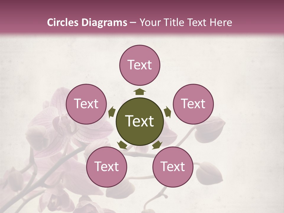 Phalaenopsis PowerPoint Template