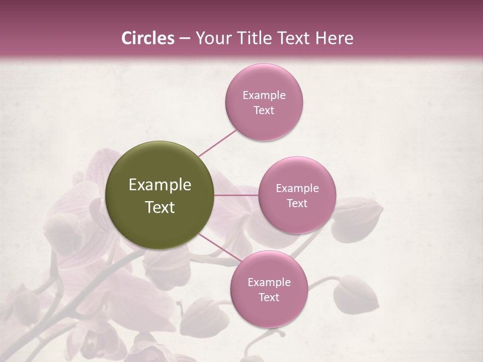 Phalaenopsis PowerPoint Template