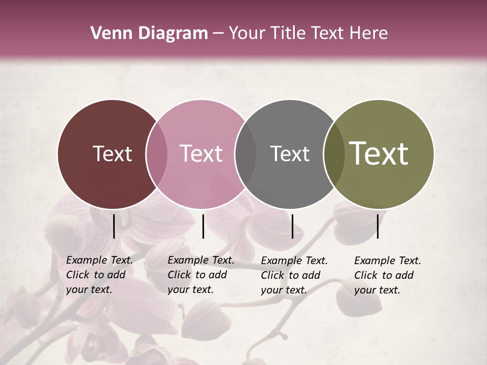 Phalaenopsis PowerPoint Template