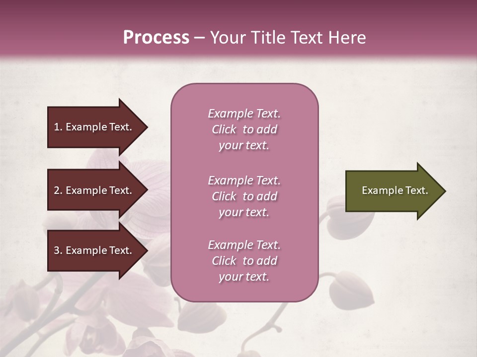 Phalaenopsis PowerPoint Template