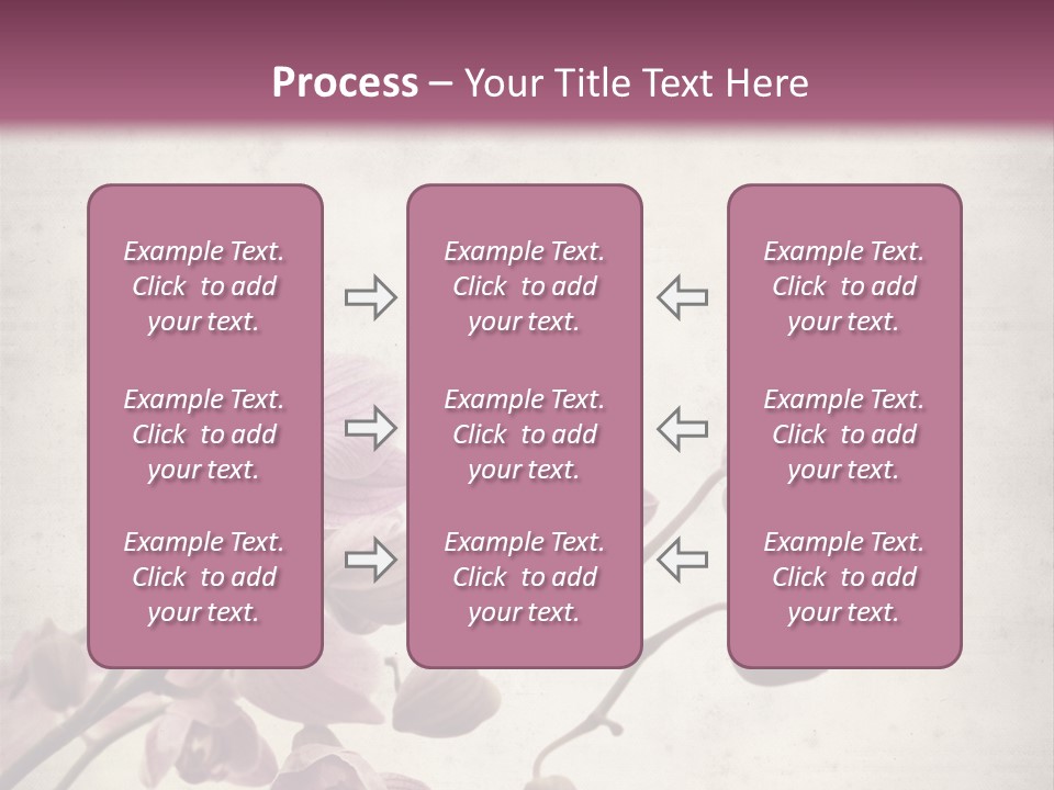 Phalaenopsis PowerPoint Template