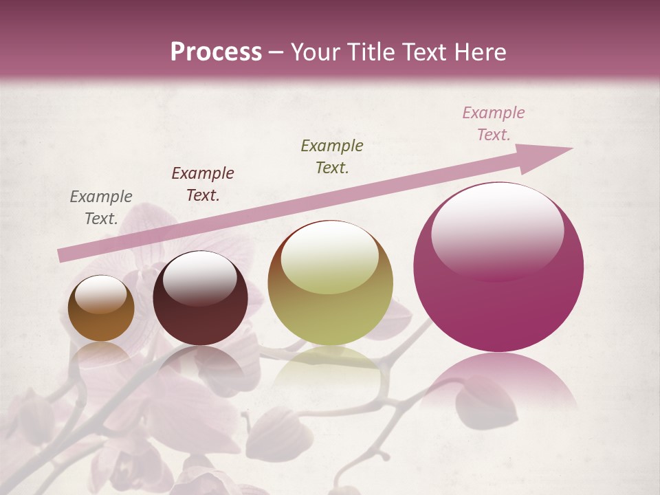 Phalaenopsis PowerPoint Template