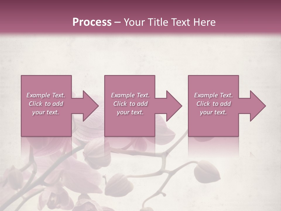Phalaenopsis PowerPoint Template