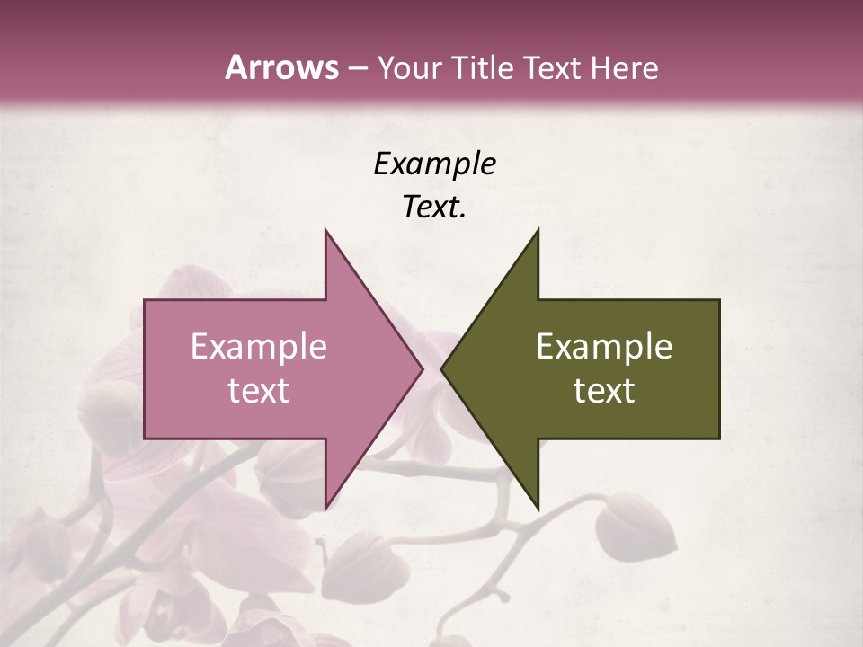 Phalaenopsis PowerPoint Template