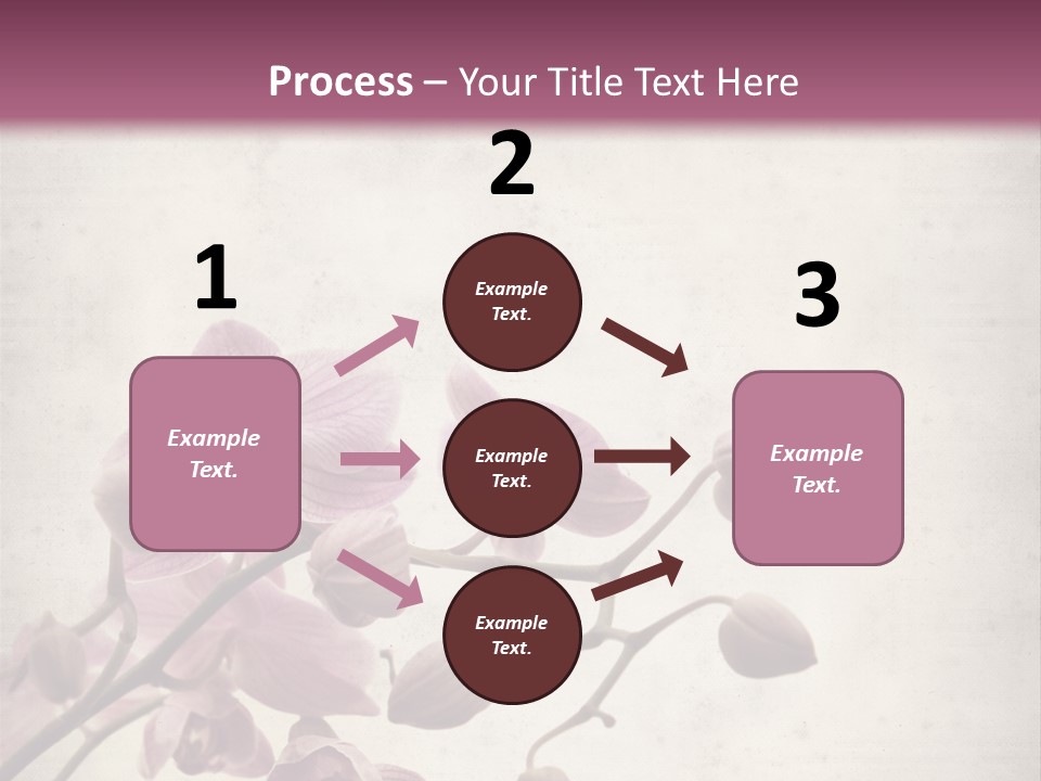 Phalaenopsis PowerPoint Template