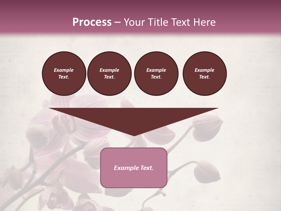 Phalaenopsis PowerPoint Template