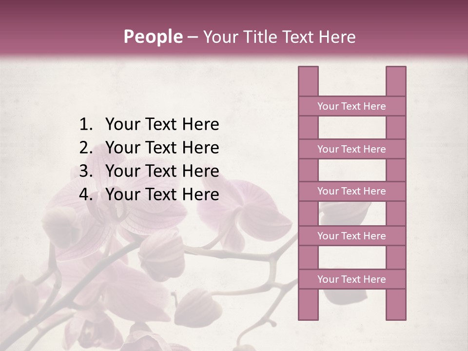 Phalaenopsis PowerPoint Template