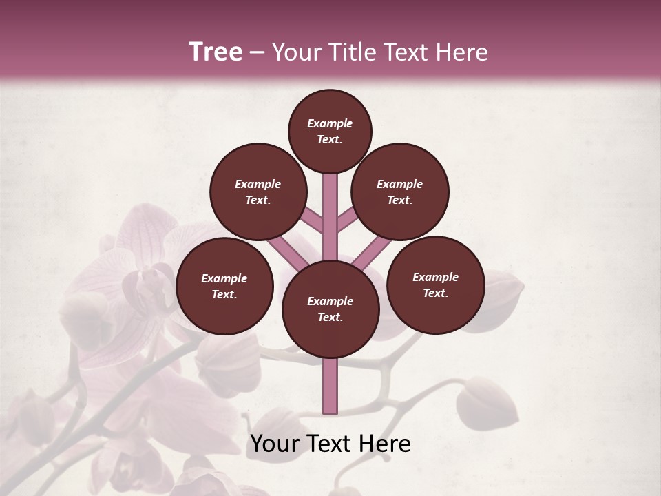 Phalaenopsis PowerPoint Template