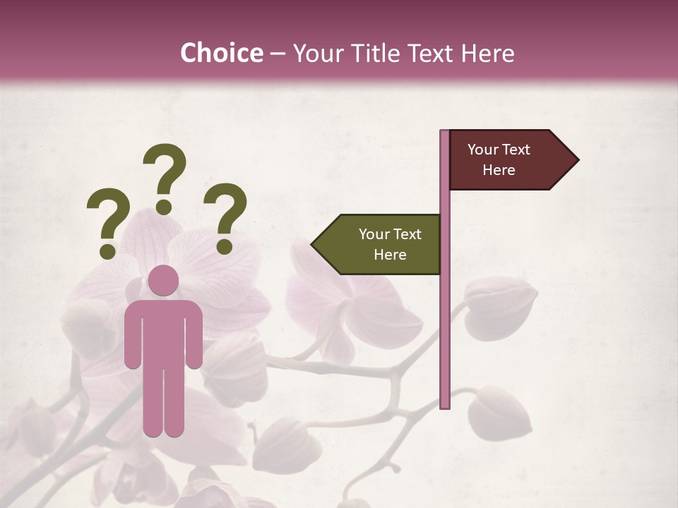 Phalaenopsis PowerPoint Template