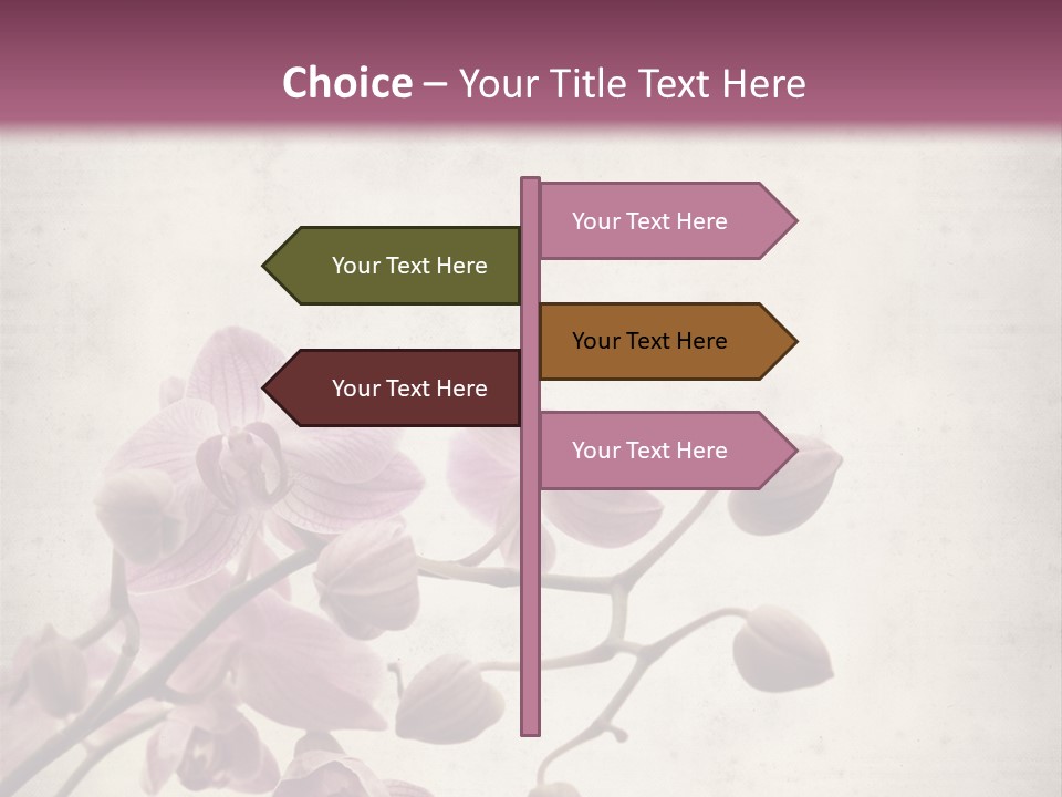 Phalaenopsis PowerPoint Template