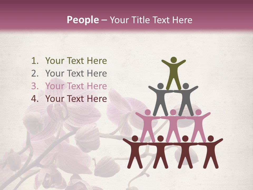 Phalaenopsis PowerPoint Template