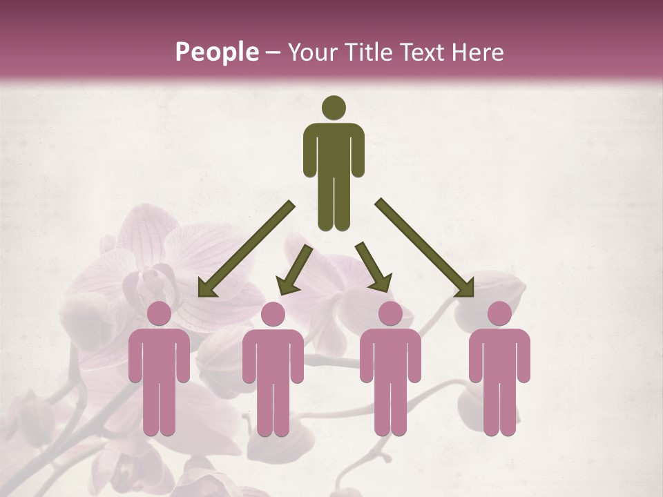 Phalaenopsis PowerPoint Template