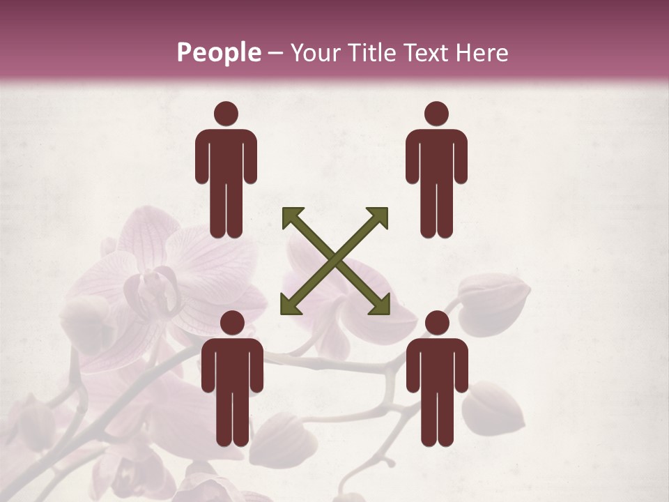 Phalaenopsis PowerPoint Template