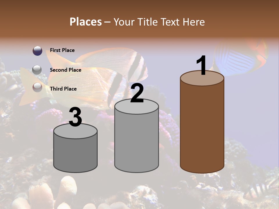 Underwater Coral Reef PowerPoint Template