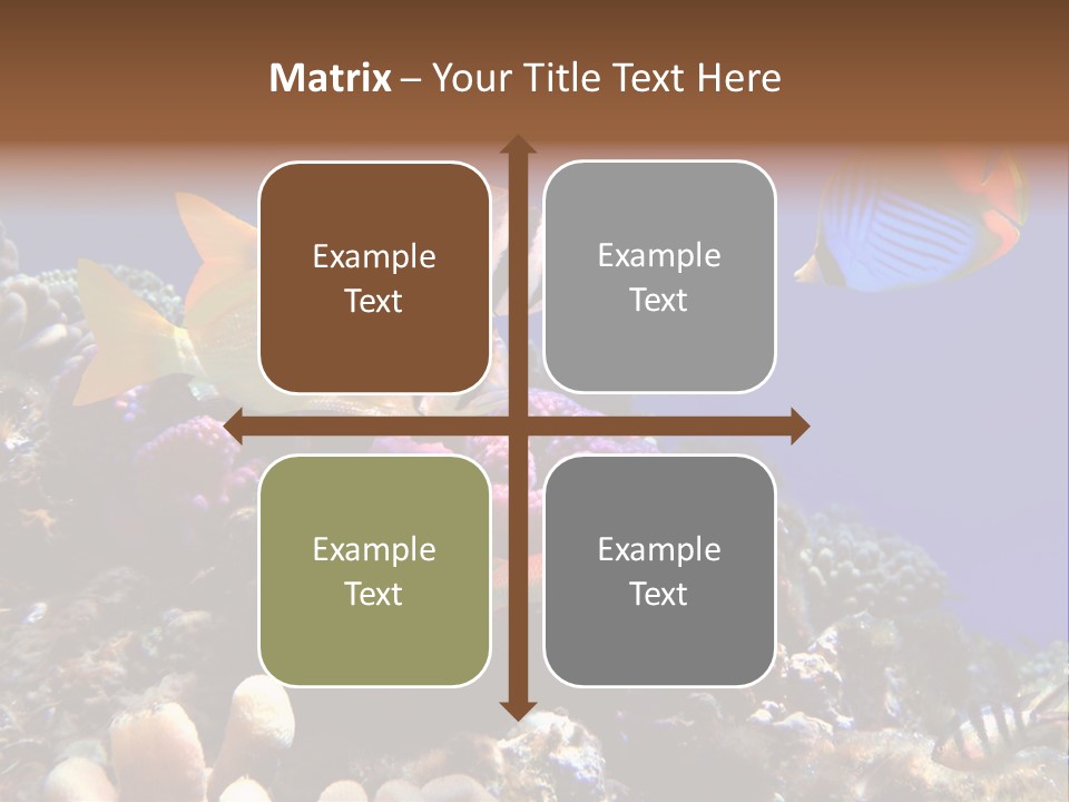 Underwater Coral Reef PowerPoint Template