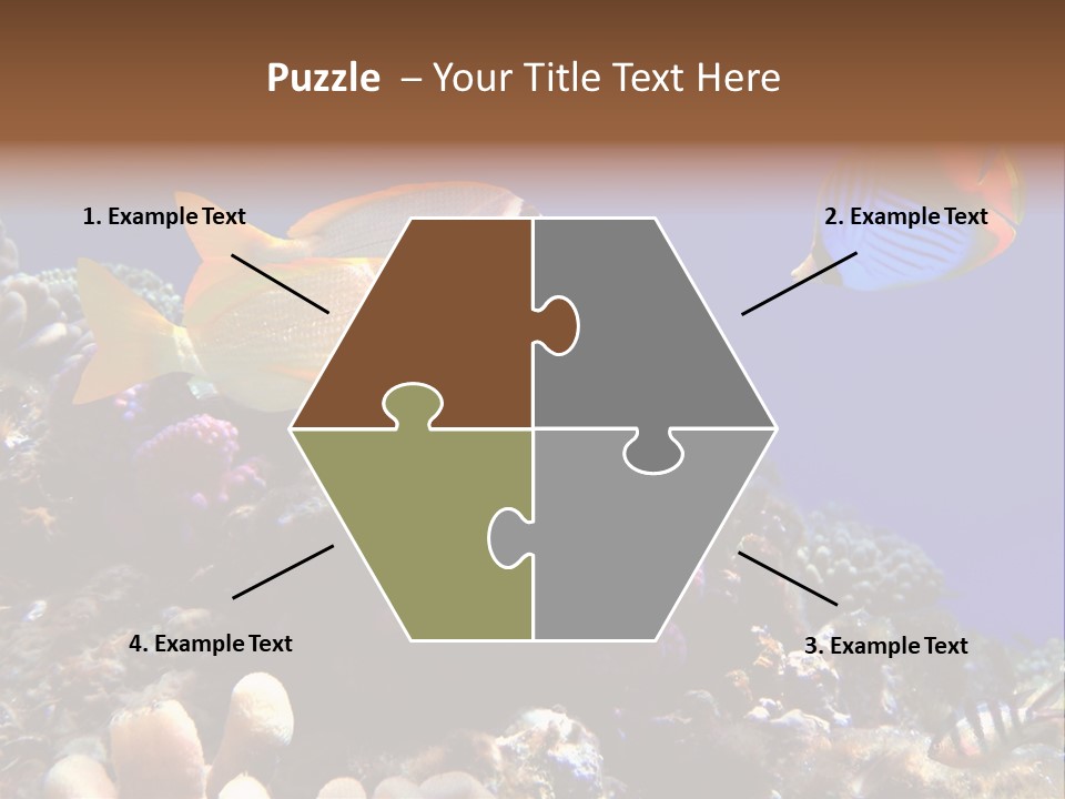 Underwater Coral Reef PowerPoint Template