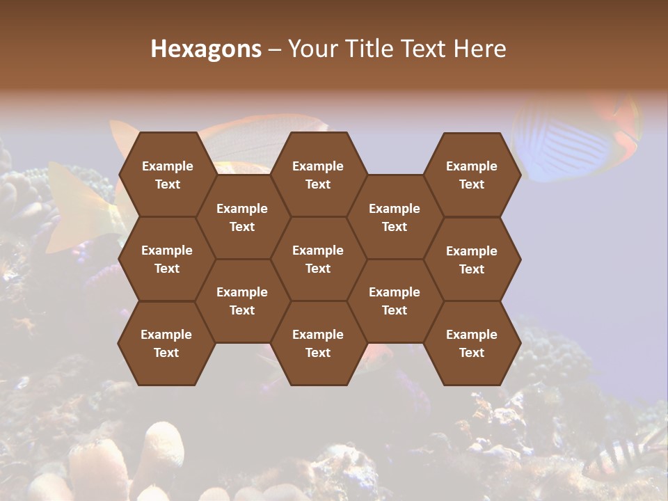 Underwater Coral Reef PowerPoint Template