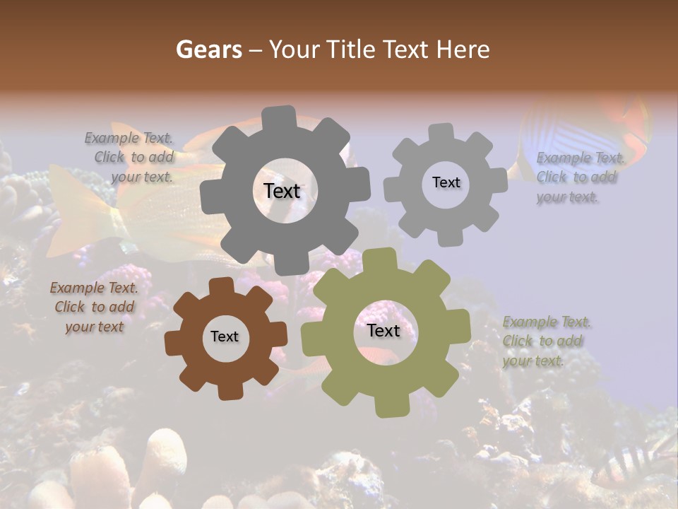 Underwater Coral Reef PowerPoint Template