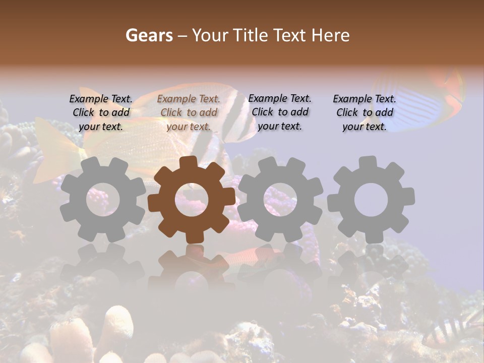 Underwater Coral Reef PowerPoint Template